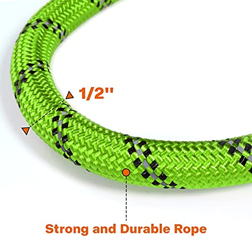Taglory Hundeleine mit bequemen gepolsterten Griff, robuste Hundeleine zum Trainieren und Gassi gehen, 180×1.2cm Reflektierend Führleine aus weichem Nylon für große Hunde, grün
