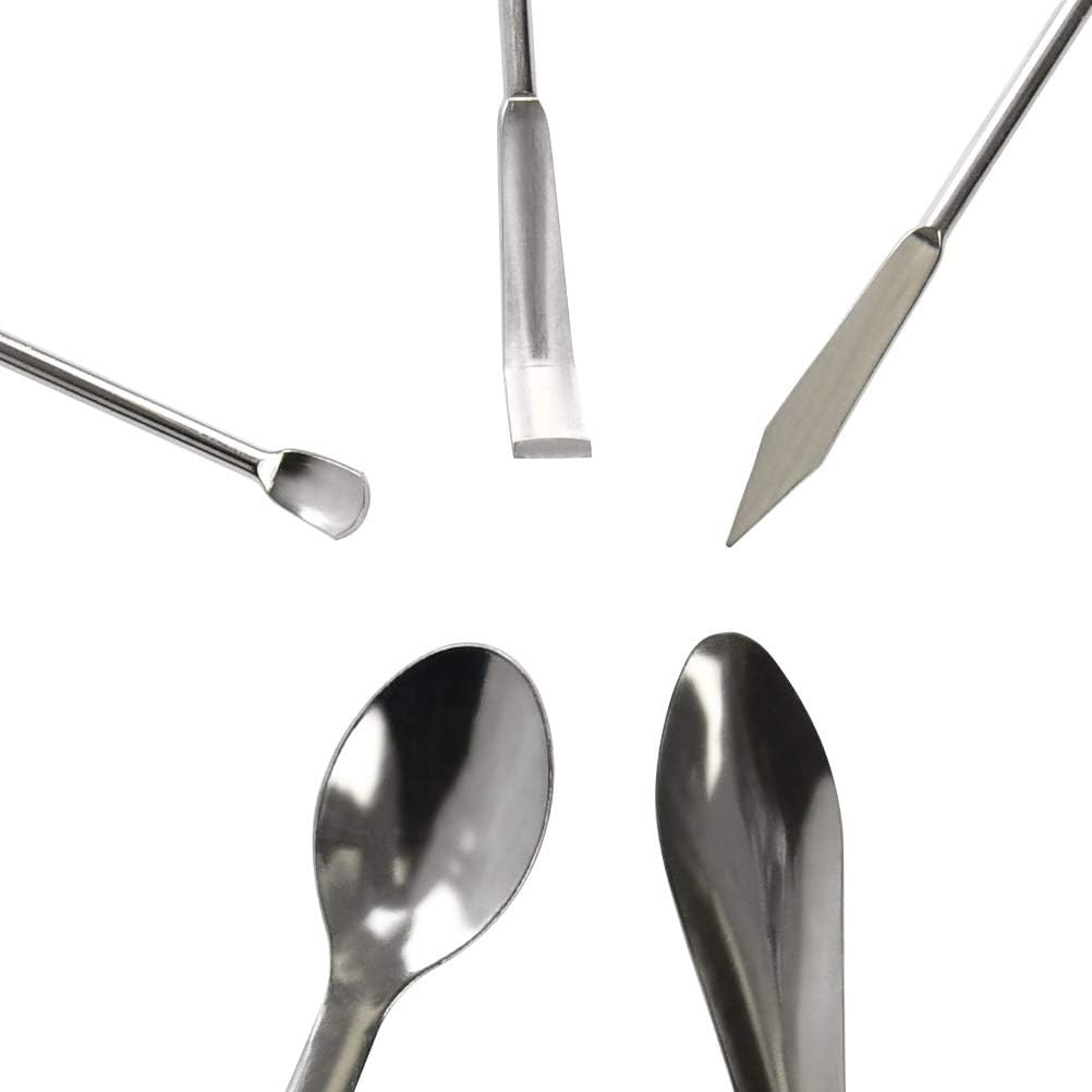 BUYGOO 12 PCS Laboratory Spatula Stainless Steel Lab Spoon Spatula