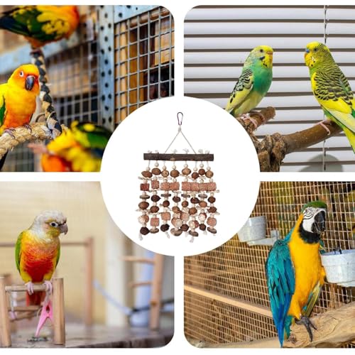 Cage à oiseaux en bois pour balcon et jardin habitat extérieur pour perruches et pinsons - 5