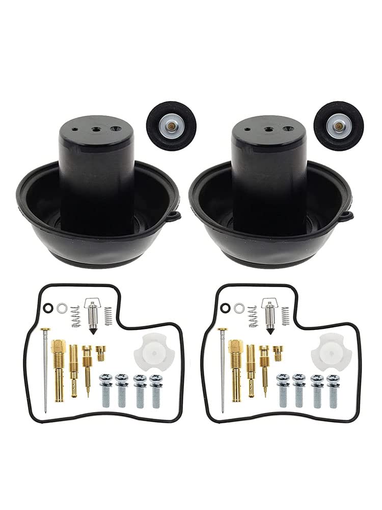 Riloer Juego de reconstrucción de carburador, kit de reparación de carburador compatible con Honda Steed Shadow 600, VT 600, VLX 600 1994-2003