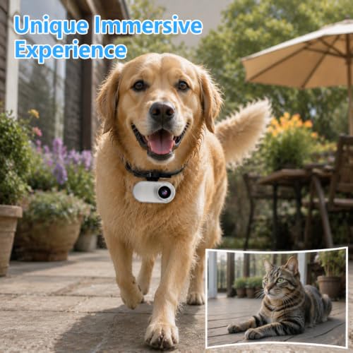 Image of Updated Cat Collar Camera,Pet Sport Camera with Video Records,Wireless Mini Body Small Cam HD 1080P Security Cameras Outdoor /Indoor Puppy Supplies /Stuff Birthday Gift No WiFi Needed