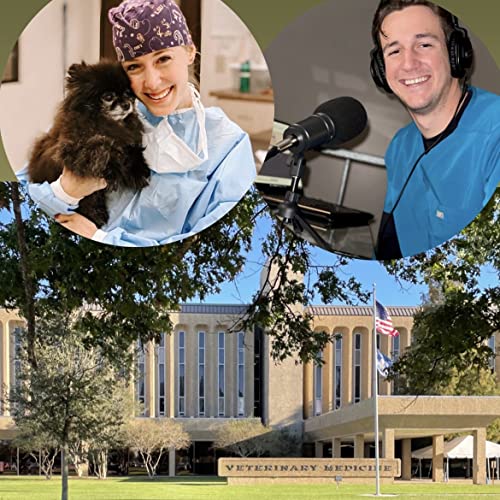 Episode 6- Life After LSU's School of Veterinary Medicine with Doctor Stevie