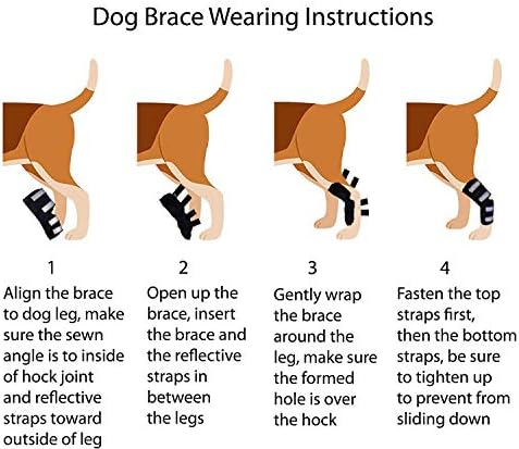 Nsret Dog Leg Brace Hcpet 1 Pair Leg Hock Joint Wrap Protects With Safety Reflective Straps For Injury And Sprain Protection Wound Healing And Loss Of Stability From Arthritis S Amazon Co Uk