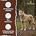 WOLFSBLUT – Wild Duck & Turkey Adult | Trockenfutter mit natürlichen Zutaten und Superfoods für ausgewachsene Hunde. Getreidefreies Alleinfutter ohne Zusatzstoffe im Beutel | 2kg Ente & Truthahn