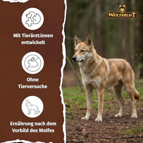 WOLFSBLUT – Wild Duck & Turkey Adult | Trockenfutter mit natürlichen Zutaten und Superfoods für ausgewachsene Hunde. Getreidefreies Alleinfutter ohne Zusatzstoffe im Beutel | 12,5kg Ente & Truthahn
