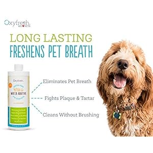 Oxyfreshpremiumpetdentalcaresolutionpetwateradditivebestwaytoeliminatebaddogbreathandcatbadbreathfightstartarplaquesoeasyjustaddtowatervetrecommended2pack Urban Country Home Decor Oxyfresh premium pet dental care solution pet water additive best way to eliminate bad dog breath and cat bad breath fights tartar plaque so easy just add to water vet recommended 2 pack urban country home decor