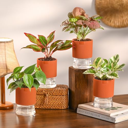 Image of Ugaoo Indoor Plants Combo of 4 for Office Desk | Aglaonema Red, Syngonium Pink Neon, Money Plant N'Joy & Philo Oxycardium Green in Self Watering Kyoto Pots - Terracotta