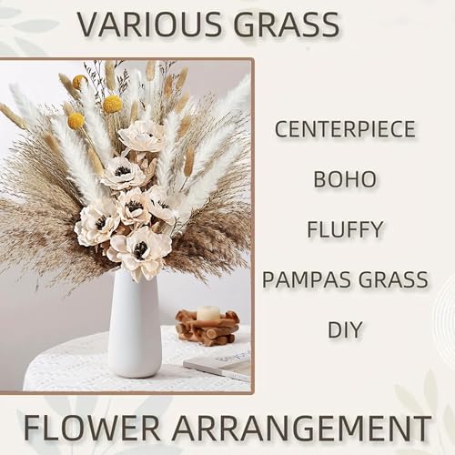 Ramo natural de pasto pampas seco decorativo miniatura 7