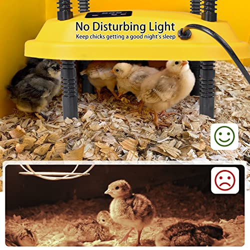 Plotohiker Wärmeplatte Küken,Temperatur Verstellbare Kükenwärmer Wärmelampe,Heizplatte für Kükenaufzucht,Kunstglucke 13… – Bild 5