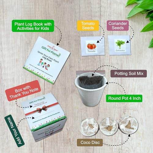 Image of Casa De Amor Gift for Planet Grow Your Own Vegetable Kit for Kids - DIY Gardening Kit with Pot, Seeds, Soil - Eco-Friendly Return Gift (Set of 12)