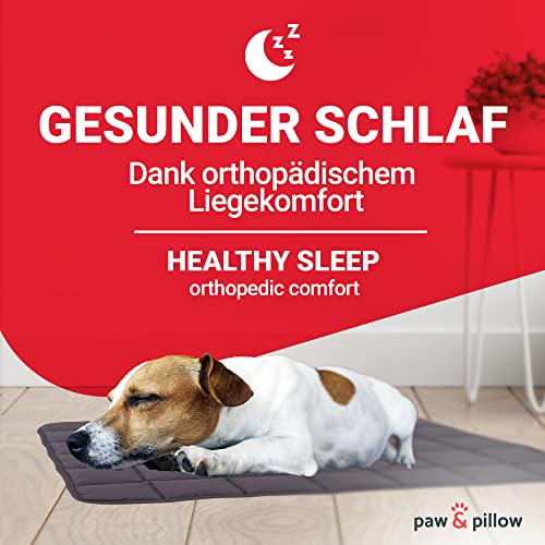 paw & pillow Hundematte für Auto, Indoor & Outdoor - Hundedecke kratz und Kochfest bis 95° Grad, Größe L - Liegefläche 70x100 cm in Grau Made in Germany