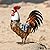 Kircust Garden Rooster Statues & Sculpture, Metal Chicken Animal Yard Art Lawn Ornament Figurines Artwork for Outdoor, Patio,Backyard and Home Kitchen Decoration