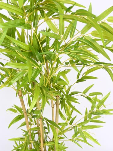 Image of ARICK DECOR Artificial Bamboo Tree 4Ft Tall in Pot - 120cm Realistic Faux Bamboo Silk Plant with Natural Look Canes, Peacock Shaped Floor Decor Greenery for Home, Living Room, Office & Balcony