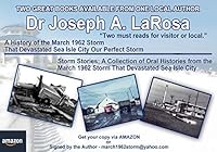 Our Perfect Storm 0982893205 Book Cover