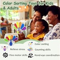GYsomer Color Sorting Sensory Toys, Fine Motor Skills Toys for Toddlers, Montessori Toys Preschool Learning Activitie, Sensory Activity Toy for Kids 3+ and Adults — image 2