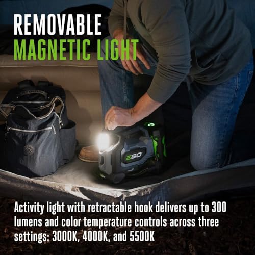 EGO POWER+ 160 PSI Compact Inflator
