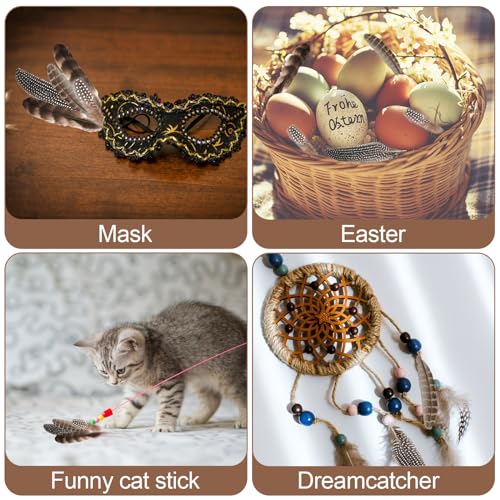 Deepton 50 Stück 4 Stil Federn zum Basteln, Feder Truthahnfedern, Federn Groß, Schwarze Federn Basteln, Federn Weiss, Bastelfedern, Federn Deko für DIY Ostern Weihnachten Maske Traumfänger