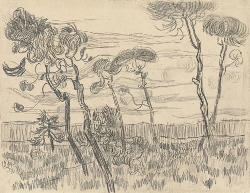 Cuadro de lienzo de Van Gogh Seis pinos decoración de salón 60x90cm