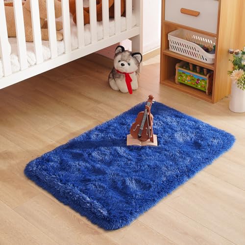 Small Bedside Rug, 2x3 Non Slip Fluffy Shaggy Entryway Throw Rugs for Bedroom Living Room, Indoor Floor Carpet for Kids Girls and Boys, Nursery Rooms Mat, Home Decor Aesthetic, Blue