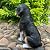 halp·ssfm Solar Garden Statues Dog Figurine with LED Light Lantern Outdoor Art Decor for Patio Lawn Yard Housewarming Home Ornaments Gifts for Dog Lovers Mom Grandma Women