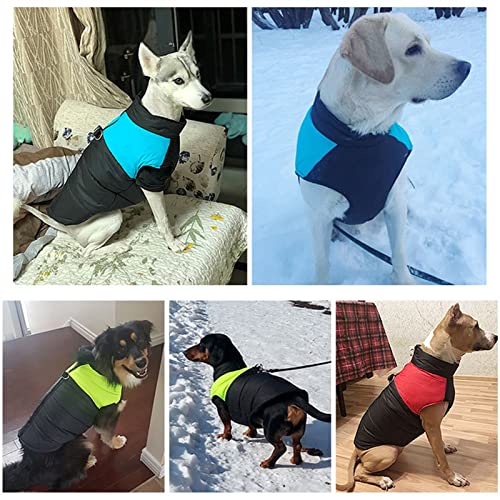 Manteau chaud pour grand chien vert imperméable pour protéger votre compagnon - 7