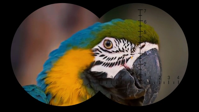 7x50 Marine Fernglas für Erwachsene, wasserdichtes Fernglas mit Höhen- und Luftdruckkompass auf LCD-Bildschirm… – Bild 8