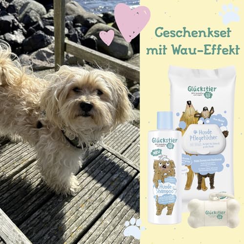 Glückstier Duo Geschenkset | Mit Glückstier Hundeshampoo parfümfrei (250ml) | Hundepflegetücher (60 STK.) | Hundebeutel-Spender (inkl. 15 Beutel) | ohne Parfüm | für Welpen & Sensible Hundenasen