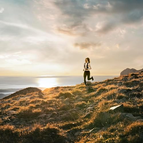 Image of Garmin fēnix 8 - 47 mm, AMOLED, Sapphire, Premium Multisport GPS Smartwatch, Long-Lasting Battery Life, Dive-Rated, Built-in LED Flashlight, Carbon Gray DLC Titanium with Pebble Gray Band