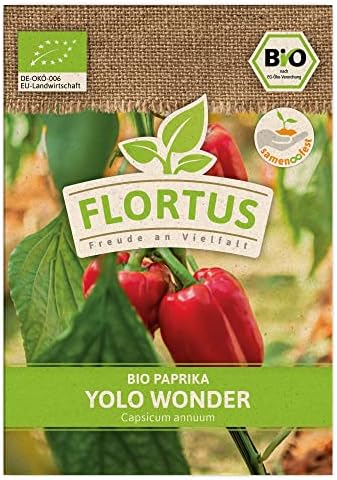 FLORTUS BIO XXL Winterknoblauch Messidor - 3 Extra Große Knollen Aus Frankreich