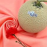 【母の日ギフト】 静�