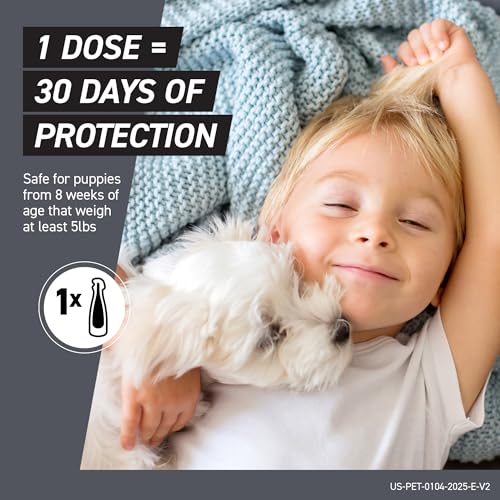 FRONTLINE Shield Flea & Tick Treatment for Large Dogs 41-80 lbs. Count of 3 - image 6