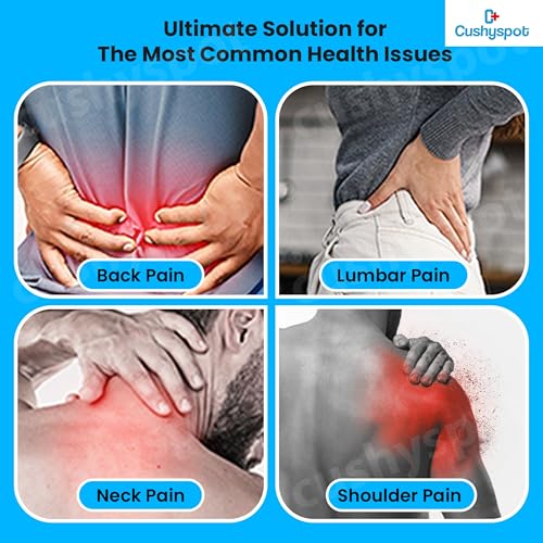 Image of Ergonomic Back Support for Office Chair & Car Seat | Lumbar Support Cushion for Back Pain Relief | Chair Back Support for Back Pain - Posture Corrector