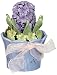 Cosmos 743-13 Fine Porcelain Hyacinth Pot Figurine, 4-3/4-Inch