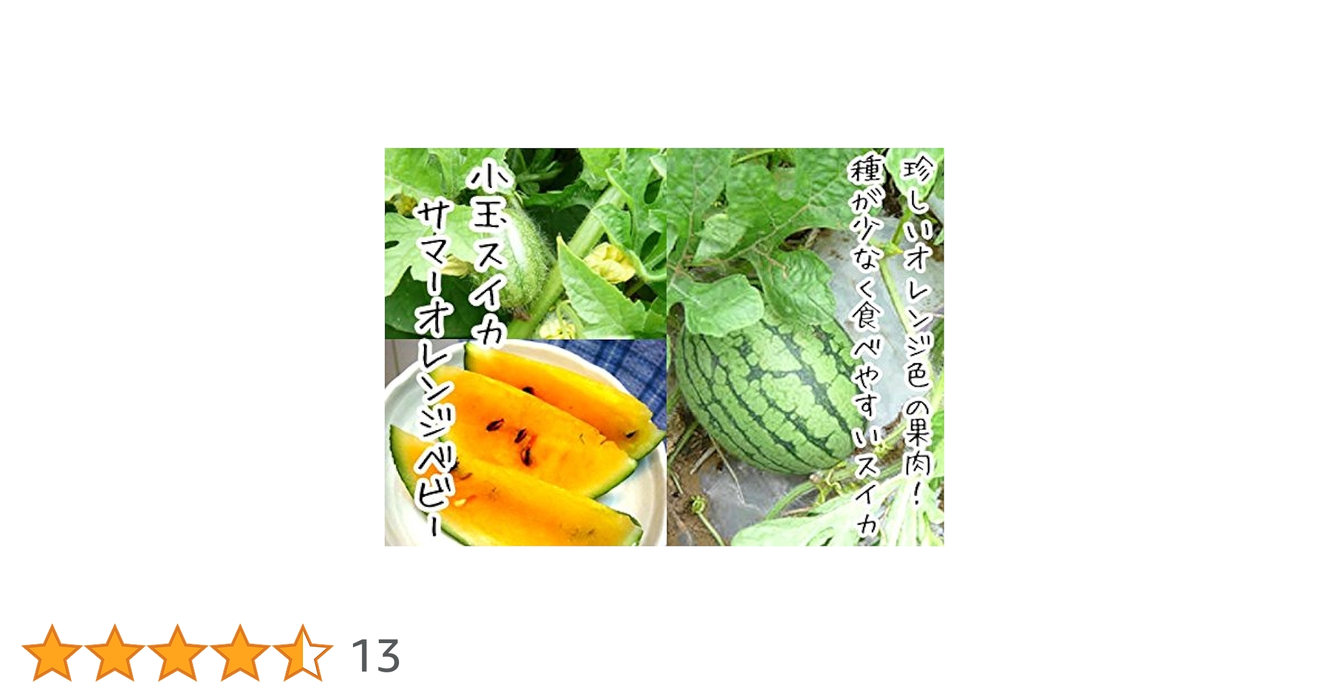 スイカサマーページ 中玉スイカ】ナント交配 「サマーオレンジミドル」 野菜と花の種