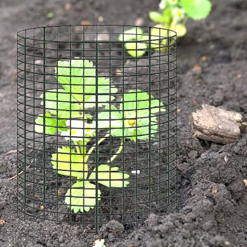 YEXEXINM 20 Pack 12" H X 4" D Wire Small Plant Protector from Animals, 20 Pcs Small Metal Plant Cage Chicken Wire Cloche with Ground Stakes and Nylon Tie to Keep Animals Out Garden Protection by YEXEXINM - Used condition - Image 7