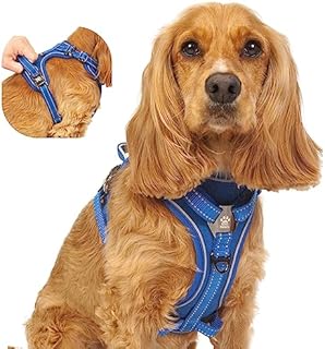 Elite Paws® UK: Premium Metal Buckle Dog Harness, Strong, Safe, Padded, Comfortable, Adjustable, Reflective, Front/Back Lead Attachments, Soft Handle, Pet Walking Vest/Training Product (Red, Small)