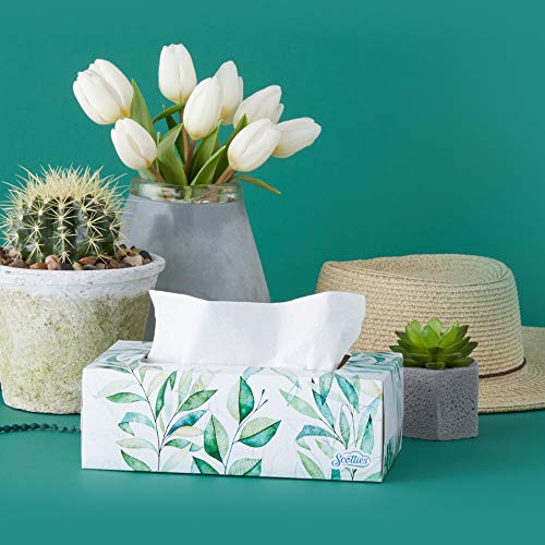 Scotties Everyday Comfort Facial Tissues, 110 Tissues per Box, 6 Pack