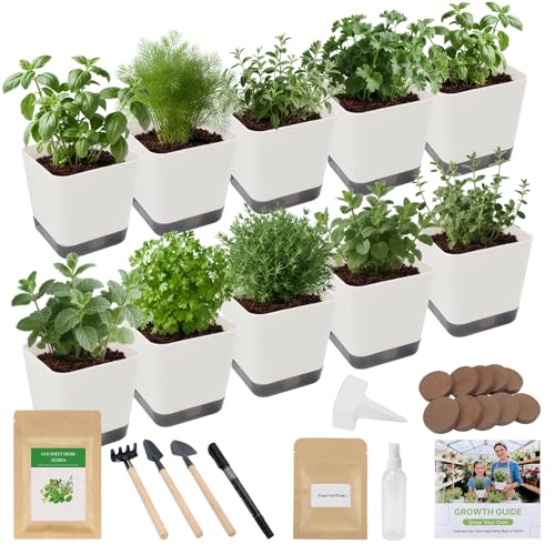 10-Set Indoor Herb Garden Starter Kit, 7 Seeds Growing...