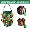 Betereap Hanging Strawberry Grow Bag with 12 Holes, 2-Pack Widen Planting Holes 400G Heavy Duty Easy Installation Durable Vertical Strawberry Planter for Balcony, Garden or Patio #4