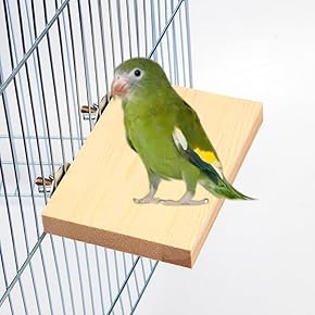 鳥用止まり木 - Amazon.co.jp