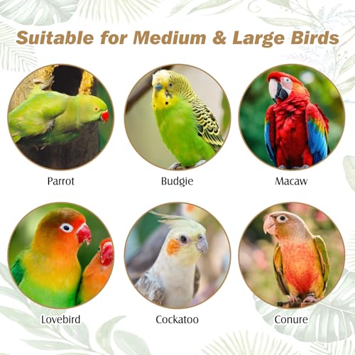 Image of PINVNBY Natural Parrot Perch Grape Wood Bird Stand Pole Parakeet Paw Grinding Fork Chewable Climbing Branches Toy Bird Cage Accessories for Budgies Conures Cockatiels Lovebirds (2 PCS, 5.9IN)
