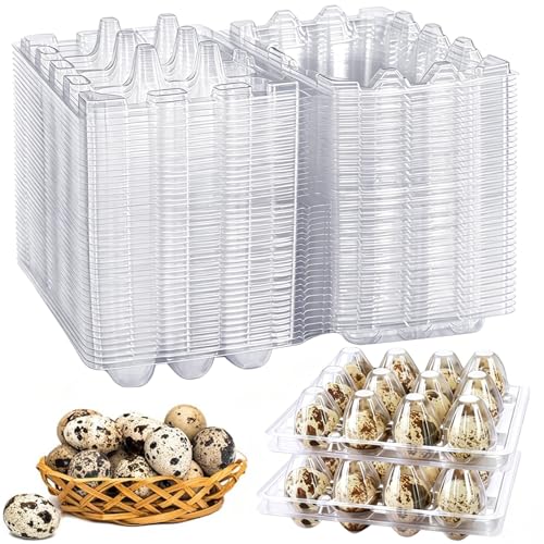Plastic Quail Egg Cartons 50 Pack of 12 Grids Small Eggs Carton Holders for Quail Pheasant Pigeon Eggs Storage