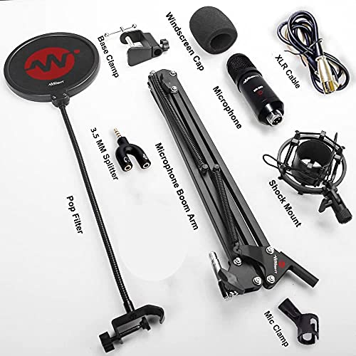 Image of WRIGHT WR BM 800 Condenser Microphone with Mic Stand and POP Filter for Podcast and Studio Recording Singing Condenser mic Full Set Kit (Without Sound Card)