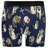 ZZXXB Lovely Raccoon Mens Boxer Briefs Breathable Underwear Fly Front With Pouch Medium