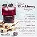 Monin - Blackberry Syrup, Delicious Berry Flavored Syrup, Cocktail Syrup, Authentic Flavor Drink Mix, Simple Syrup for Iced Tea, Lemonade, Cocktails, & More, Clean Label, Gluten-Free (1 Liter)