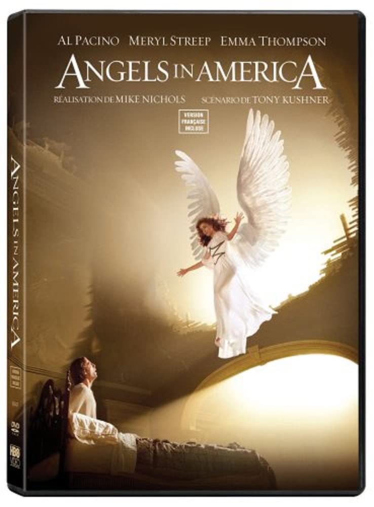 Angles In America (WS) (FRENCH) (DVD) [DVD]
