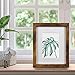 8x10 Picture Frame Brown Set of 6, Display Pictures 5x7 With mat or 8x10 Without Mat