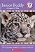 Produktbild Junior Buddy: A Jaguar's Tale (Scholastic Reader, Level 2)