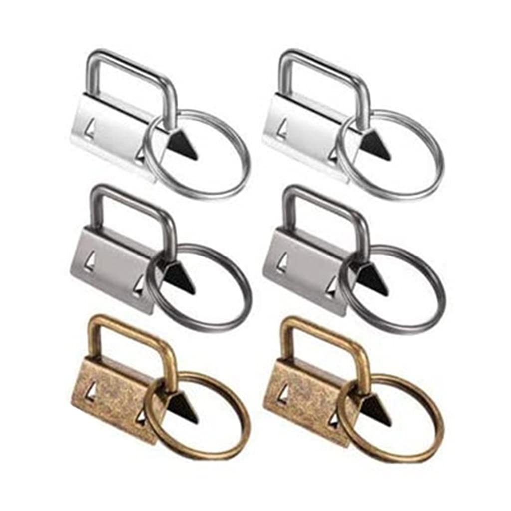 1 set di 46 portachiavi in bronzo, portachiavi con chiave a pinza, 25 Mm/0 98