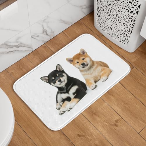 փ}bg Č    hA}bg  O oX}bg  DƂ 􂦂 ~ @}bg  䏊 Q Ɩp lGʗp 60cm×40cm